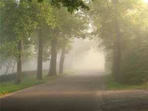 Foggy Road - dreamstimefree_1180333